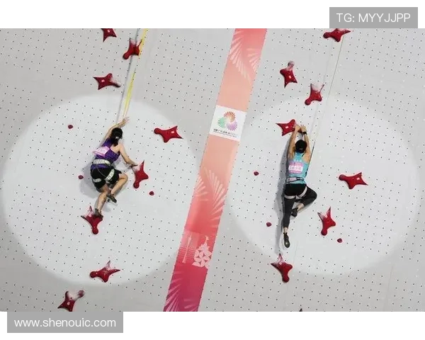 南京攀岩队在全国攀岩战术排行榜中荣获第八名的佳绩引发关注