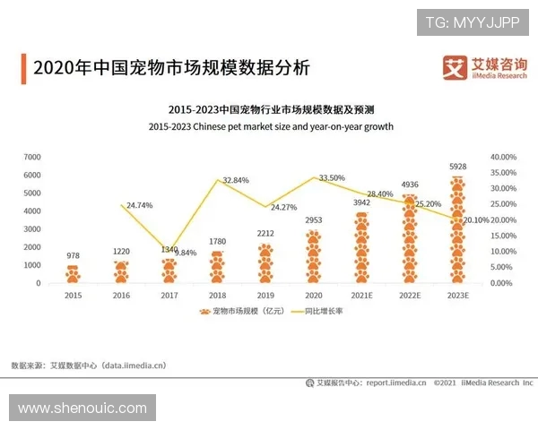 南京篮球队实力分析与表现评估的全面数据解读与趋势分析