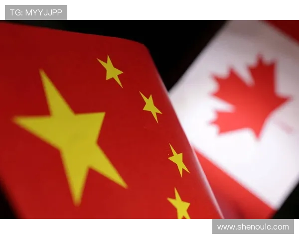 中国对阵加拿大精彩直播全程回顾与赛后分析尽在这里